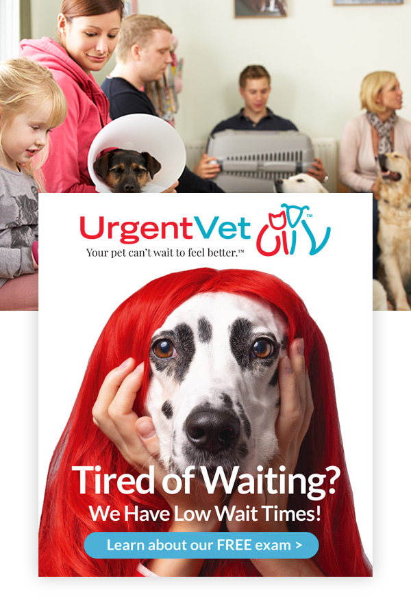 Urgent Vet Truelio Ad work